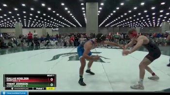 149 lbs Semis (4 Team) - Trent Johnson, Lindsey Wilson (Ky.) vs Dallas Koelzer, Baker (Kan.)