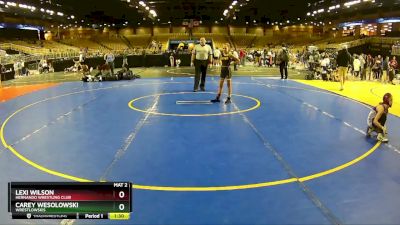 70 lbs Round 5 - Lexi Wilson, Hernando Wrestling Club vs Carey Wesolowski, Wrestlowskis