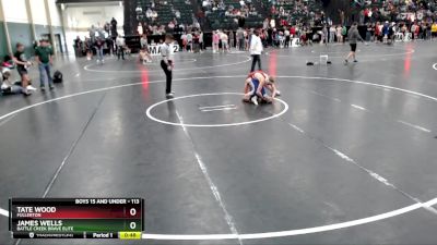 113 lbs Cons. Round 4 - Tate Wood, Fullerton vs James Wells, Battle Creek Brave Elite