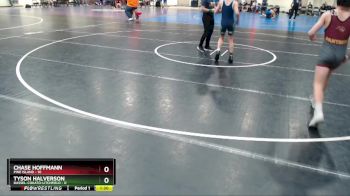 105 lbs Finals (8 Team) - Tyson Halverson, Dassel-Cokato-Litchfield vs Chase Hoffmann, Pine Island