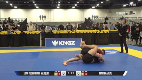 Martin Abeal vs Luan Yudi Hukami Marques 2025 World IBJJF Jiu-Jitsu No-Gi Championship