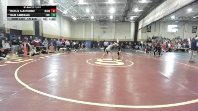 120 lbs Quarterfinal - Naylis Alejandro, Hampden Charter High vs Sam Carcamo, Excel Academy