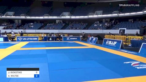 JANIS RIEKSTINS vs ANDREW WILTSE 2019 World IBJJF Jiu-Jitsu No-Gi Championship