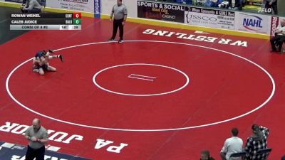 89 lbs Consi Of 8 #2 - Rowan Weikel, Central Mountain vs Caleb Judice, Bald Eagle Area