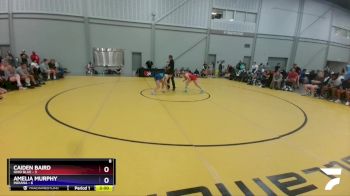 112 lbs Round 1 (8 Team) - Caiden Baird, Ohio Blue vs Amelia Murphy, Indiana