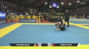Todd Andrew Walling vs Dominic Jay Dillon 2026 IBJJF European NoGi