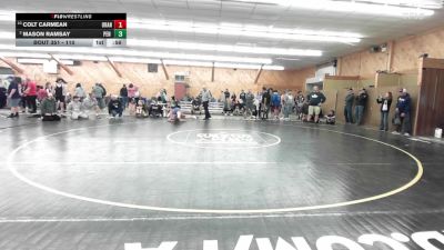 110 lbs Consi Of 4 - Colt Carmean, Orangeville vs Mason Ramsay, Pen Argyl