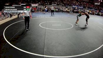 D 2 165 lbs Champ. Round 1 - Kelan Callegan, Archbishop Shaw vs Julian Nobre, Belle Chasse