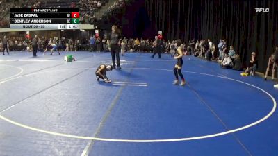 55 lbs Cons. Round 2 - Jase Zaspal, Dc Elite vs Bentley Anderson, Chippewa Elite