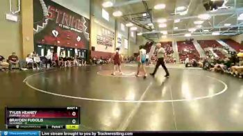 113 lbs Round 1 (10 Team) - Tyler Heaney, Pahrump Valley vs Brayden Fudolis, Silverado