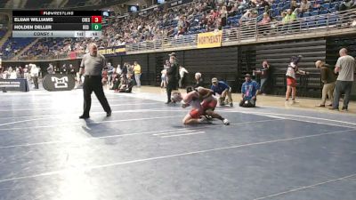 135 lbs Consy 1 - Elijah Williams, Chestnut Ridge vs Holden Deller, Red Lion