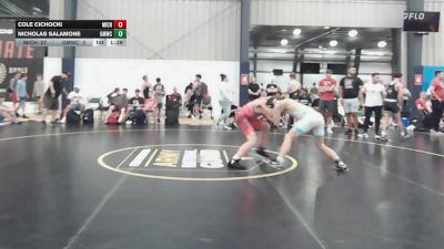 135 lbs Rr Rnd 7 - Cole Cichocki, Michigan Premier Red - BHS vs Nicholas Salamone, Gold Medal WC - BHS