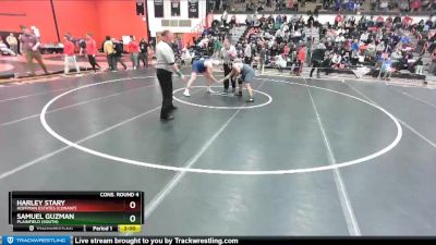 220 lbs Cons. Round 4 - Harley Stary, Hoffman Estates (CONANT) vs Samuel Guzman, Plainfield (SOUTH)