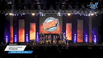 Pride of Illinois - Poison [2023 L3 Junior - D2 - Small - A Day 2] 2023 WSF Grand Nationals