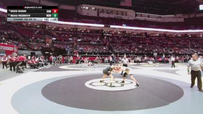 150 lbs Champ. Rd Of 16 - Beau Nezbeth, West Branch vs Reed Bodie, Col. DeSales