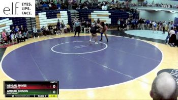 170 lbs. Champ. Round 2 - Abigail Hayes, Edwardsville vs Amiyah Brison, North Point