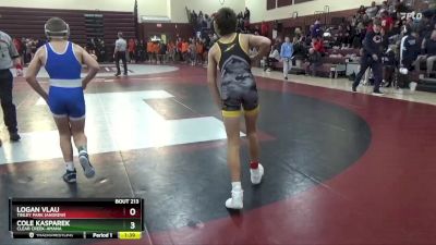 106 lbs Round 2 - Cole Kasparek, Clear Creek-Amana vs Logan Vlau, Tinley Park (Andrew)