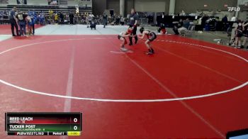 84 lbs Placement (4 Team) - Reed Leach, Staples vs Tucker Post, Marshall/Lakeview/RTR