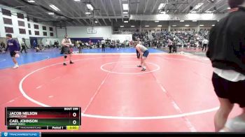 184 lbs Cons. Round 2 - Cael Johnson, Baker (Kan.) vs Jacob Nelson, Cornerstone
