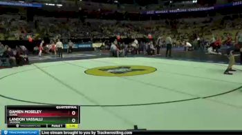 106 lbs Quarterfinal - Damien Moseley, Ozark vs Landon Vassalli, Jackson