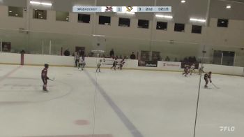 Replay: Home - 2024 York Simcoe U10 vs Penguins U10 | Nov 30 @ 4 PM