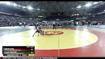 82 lbs Cons. Round 2 - Ethan Nguyen, Thunder Mountain Wrestling Club vs Logan Choi, Cherry Creek Wrestling Club