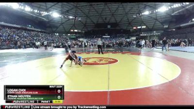 82 lbs Cons. Round 2 - Ethan Nguyen, Thunder Mountain Wrestling Club vs Logan Choi, Cherry Creek Wrestling Club