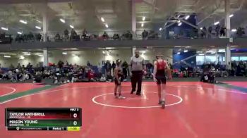 90 lbs Round 1 (4 Team) - Taylor Hatherill, Brecksville vs Mason Young, Barberton