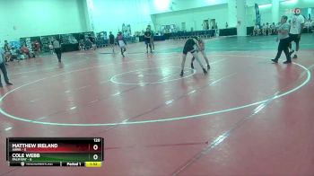 120 lbs Round 9 (10 Team) - Cole Webb, Palm Bay vs Matthew Ireland, AAWA