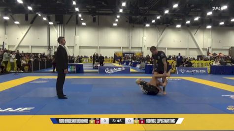 Rodrigo Lopes Martins vs Pedro Henrique Monteiro Palhares 2024 World IBJJF Jiu-Jitsu No-Gi Championship