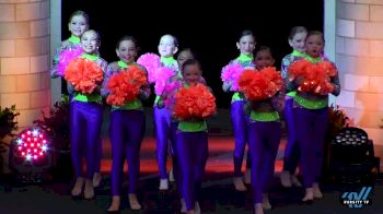 Dancin Bluebonnets - Mini Small Pom [2019 All Star Mini Pom] UDA National Dance Team Championship