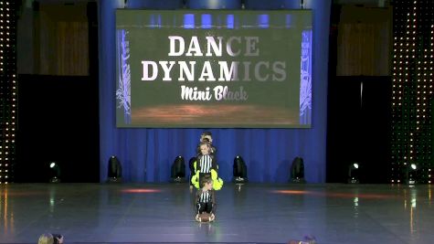 Dance Dynamics Mini Black [2019 Mini Small Pom Day 2] NDA All-Star National Championship