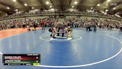 90 lbs Champ. Round 1 - Jameson Young, Wentzville Wrestling Federation-AAA vs Barron Phillips, Rolla Wrestling Club-AAA