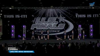 Dragons Elite - Flamingos [2025 L1 Mini - Novice - Restrictions Day 1] 2025 The U.S. Finals Louisville