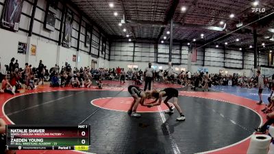 75 lbs Finals (4 Team) - Zaeden Young, PIT BULL WRESTLING ACADEMY vs Natalie Shaver, NORTH CAROLINA WRESTLING FACTORY