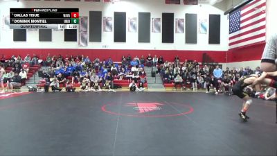 138 lbs Quarterfinal - Dallas Tisue, Wapsie Valley vs Dominik Montiel, Union, LaPorte City