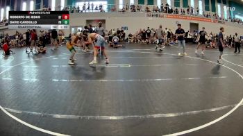 126 lbs Quarterfinal - David Cardullo, Palm Harbor vs Roberto De Jesus, Beebe Trained