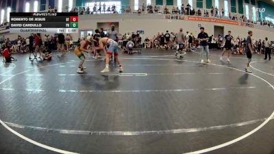 126 lbs Quarterfinal - David Cardullo, Palm Harbor vs Roberto De Jesus, Beebe Trained