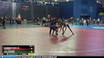 126 lbs Champ. Round 1 - Cameron Davis Jr., Salesianum vs Cam Walker, Downingtown West