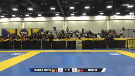 Akira Kibe vs Trang K. L. Nguyen 2024 World IBJJF Jiu-Jitsu No-Gi Championship