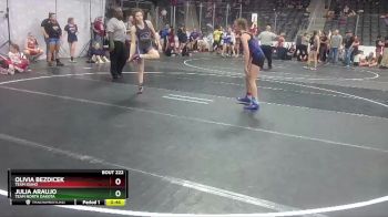 110 lbs 1st Place Match - Olivia Bezdicek, Team Idaho vs Julia Araujo, Team North Dakota