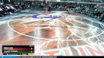 145 lbs Semis & 1st Wrestleback (8 Team) - Tucker Stangel, Osage vs Drew Hird, Prairie Du Chien