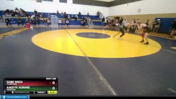 132 lbs Cons. Round 3 - Kaedyn Aurand, Ridgeline vs Gabe Weza, Clarkston