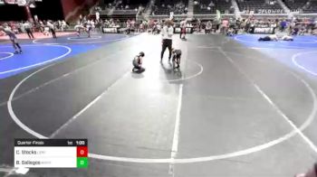 52 lbs Final - Breanna Gallegos, Mayhem vs Tristen Craft, Purebred Elite / NEWA