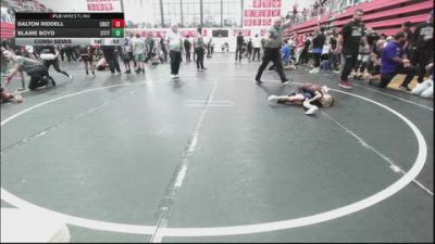 43 lbs Consolation - Dalton Riddell, Crutchmer Wrestling Club vs Blaire Boyd, Standfast