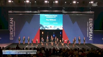 Wildcats Cheerleader Leverkusen - Tiny Wildcats [2026 IASF L1 - U12 - Small B Day 2] 2026 The European Summit