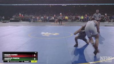 D3-113 lbs Quarterfinal - Maximus Pigeon, Hopkins HS vs Mason Haines, Dundee HS