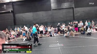 47 lbs Semifinal - Zachary Obaika, Spartanburg Wrestling Academy vs Hamilton Walters, Team Tiger