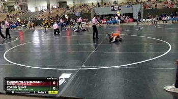 75 lbs 5th Place Match - Corbin Quint, Nolensville Wrestling Club vs Maddox Westenbarger, Blackman Wrestling Club
