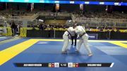 Geraldine Vinas vs Julie Marie Ferguson 2025 Pan Jiu Jitsu IBJJF Championship